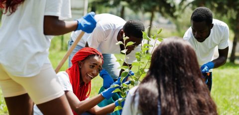 Group of happy african volunteers planting tree in park. Africa Group of happy african volunteers planting tree in park. Africa volunteering, charity, people and ecology concept.